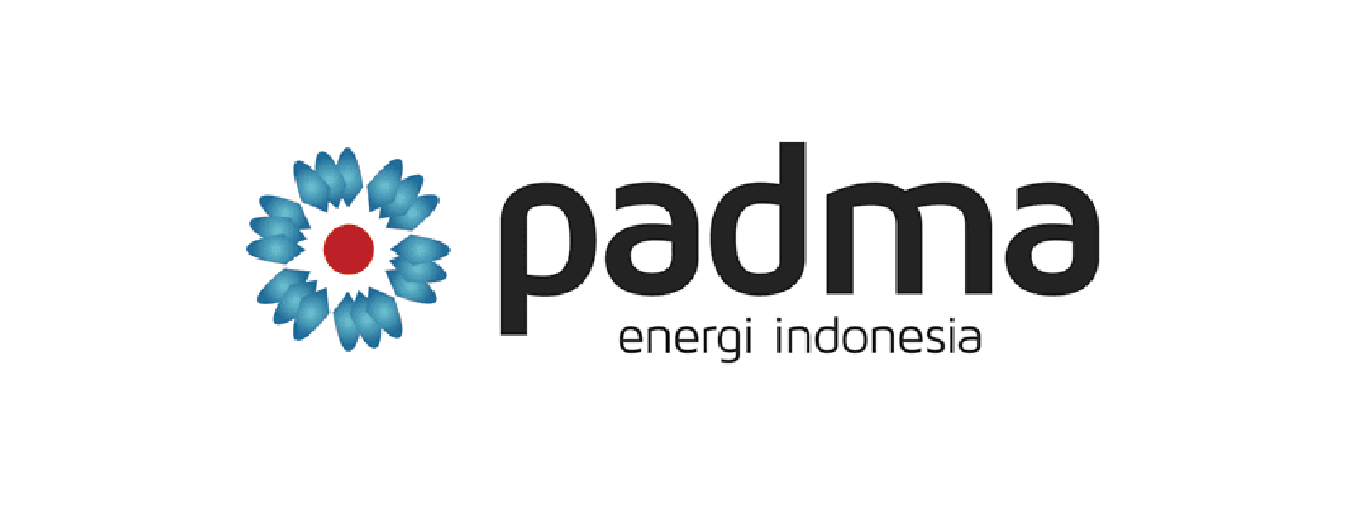 PT Padma Energi Indonesia